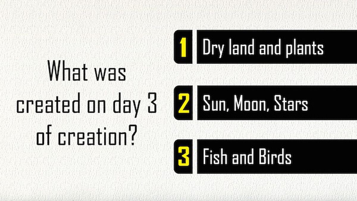 Bible Blitz: Old Testament Challenge image number null